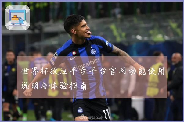 世界杯投注平台平台官网功能使用说明与体验指南