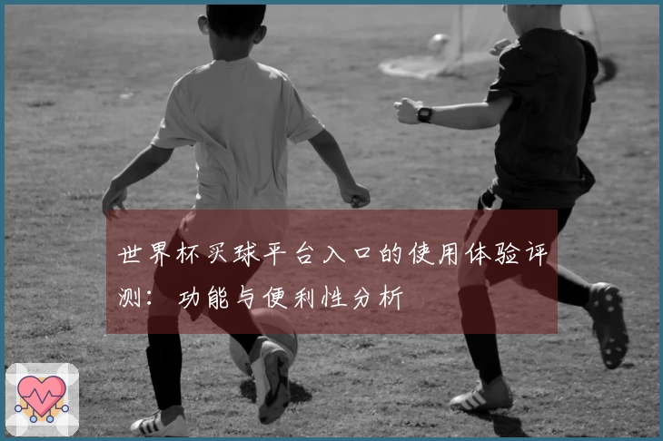 世界杯买球平台入口的使用体验评测：功能与便利性分析
