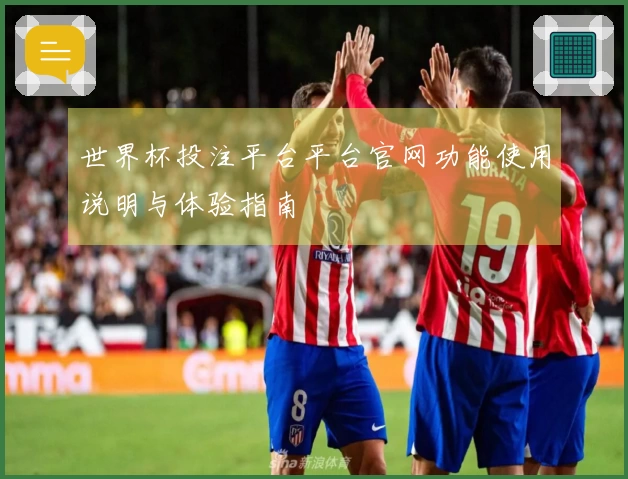 世界杯投注平台平台官网功能使用说明与体验指南